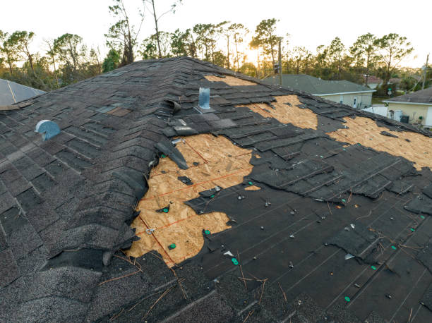 Best Storm Damage Roof Repair  in Bing, OR